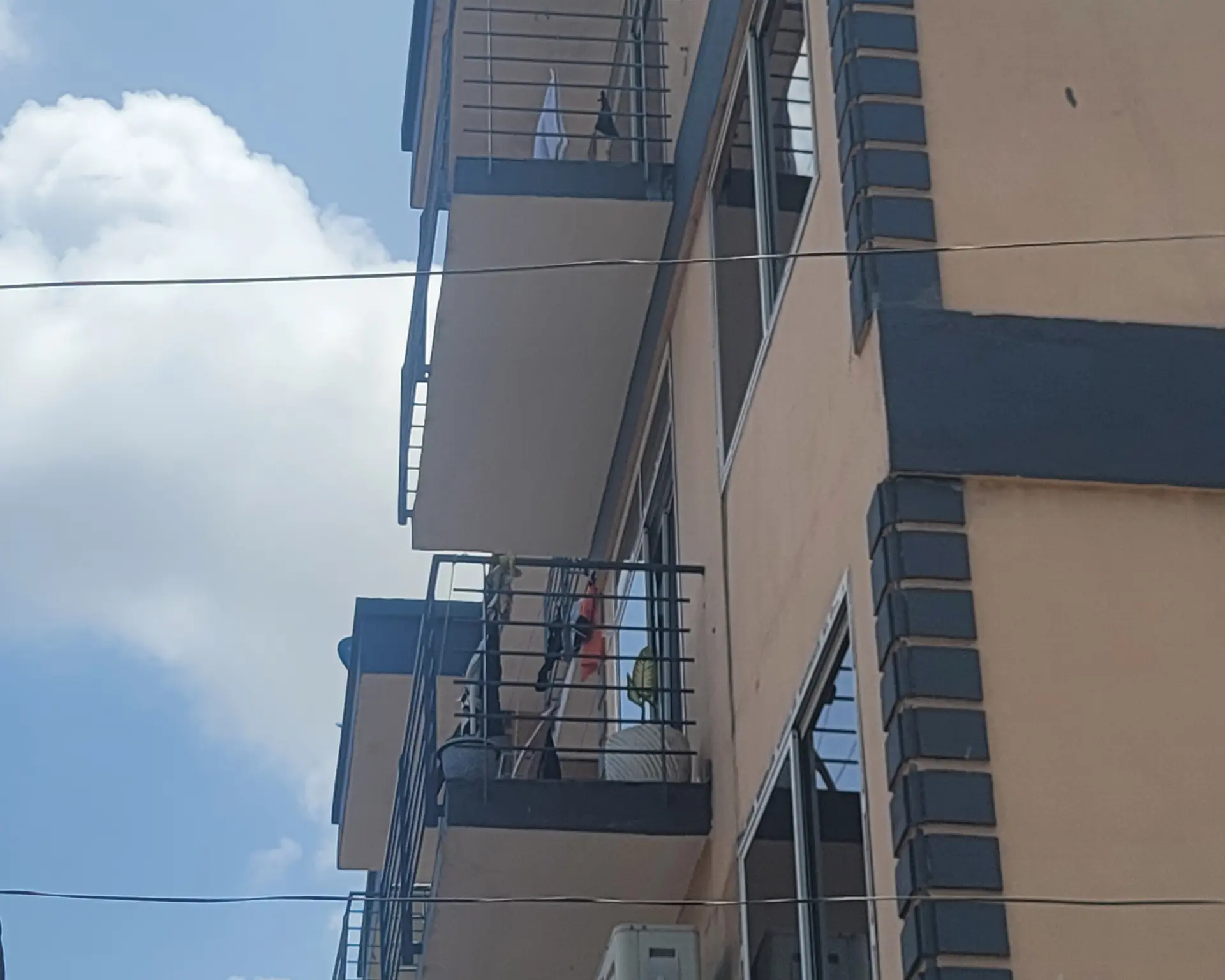 Alphahome Property