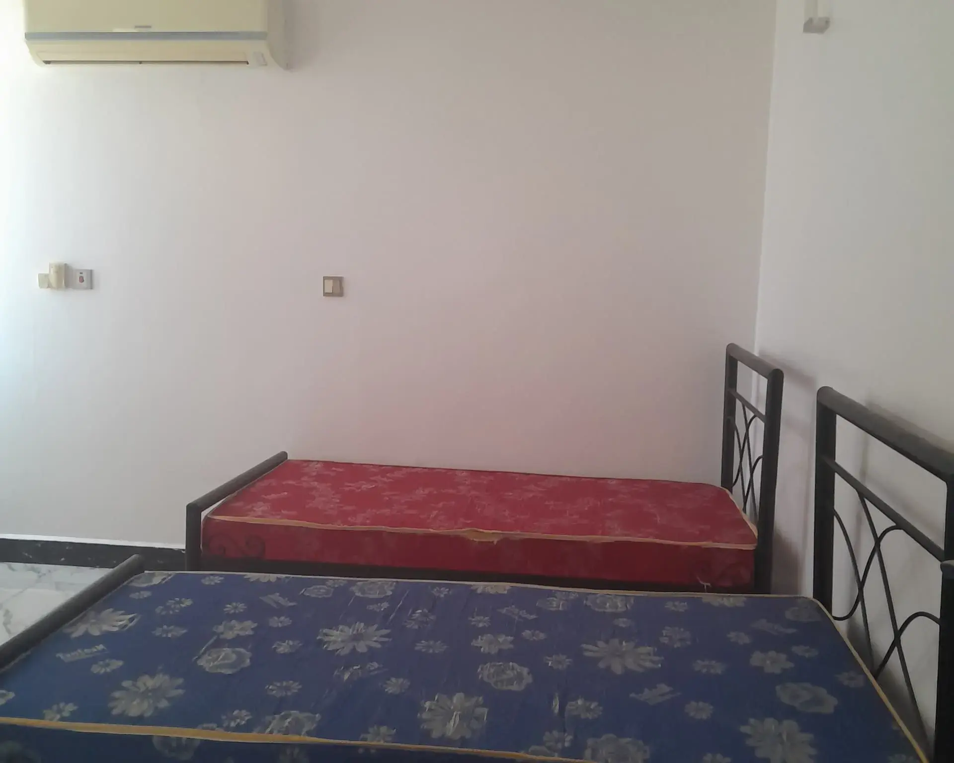 Alphahome Property