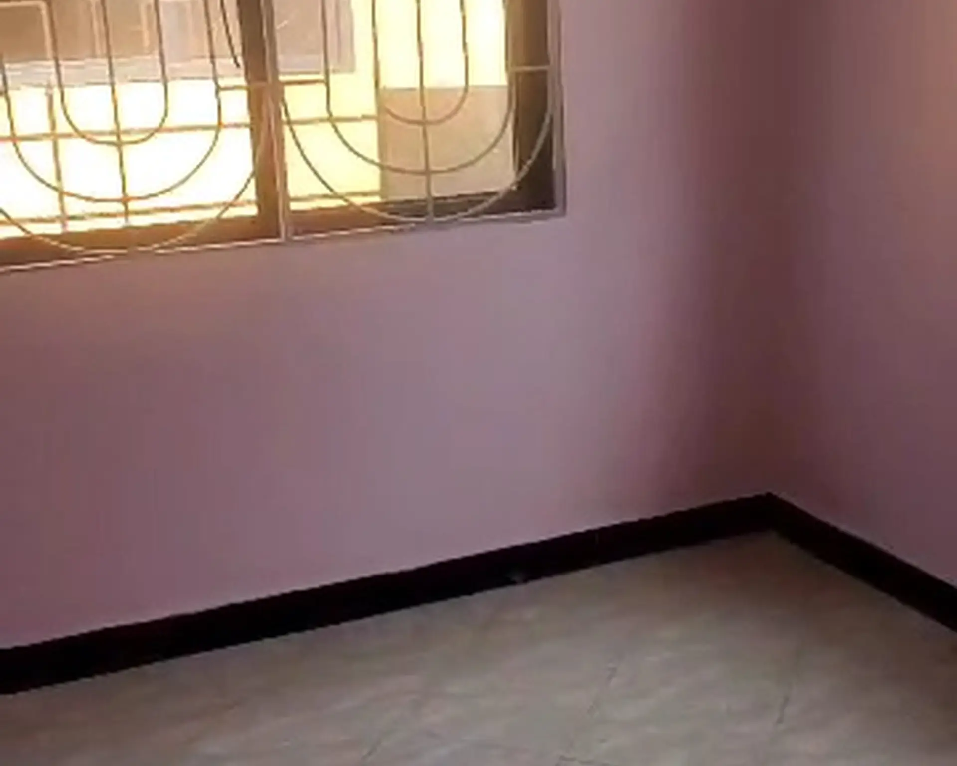 Alphahome Property