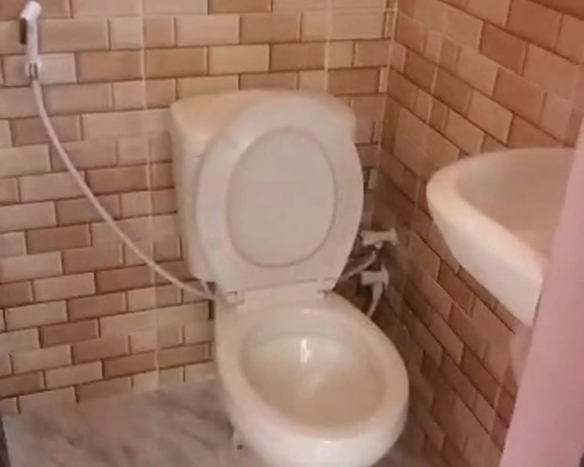 Alphahome Property