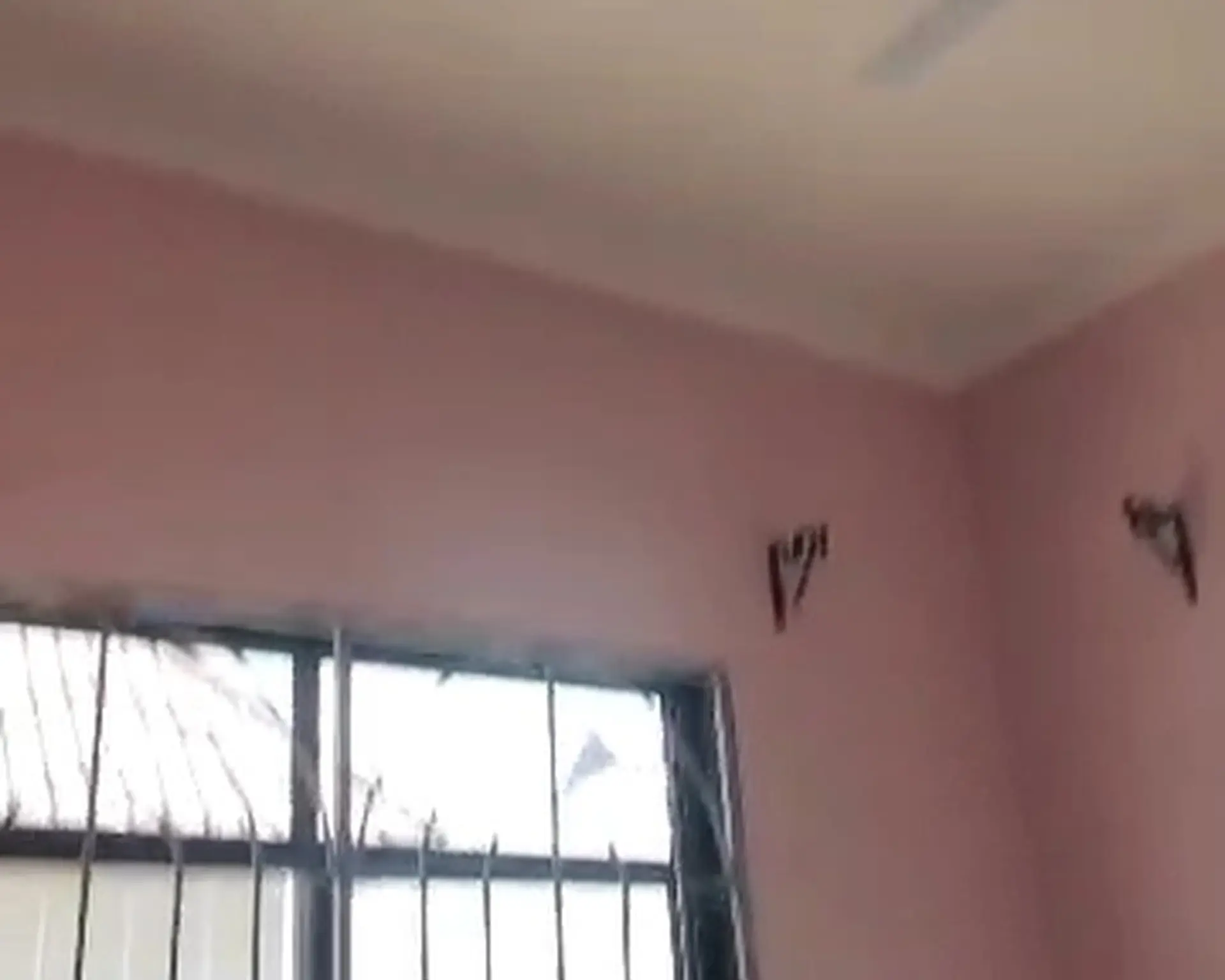 Alphahome Property
