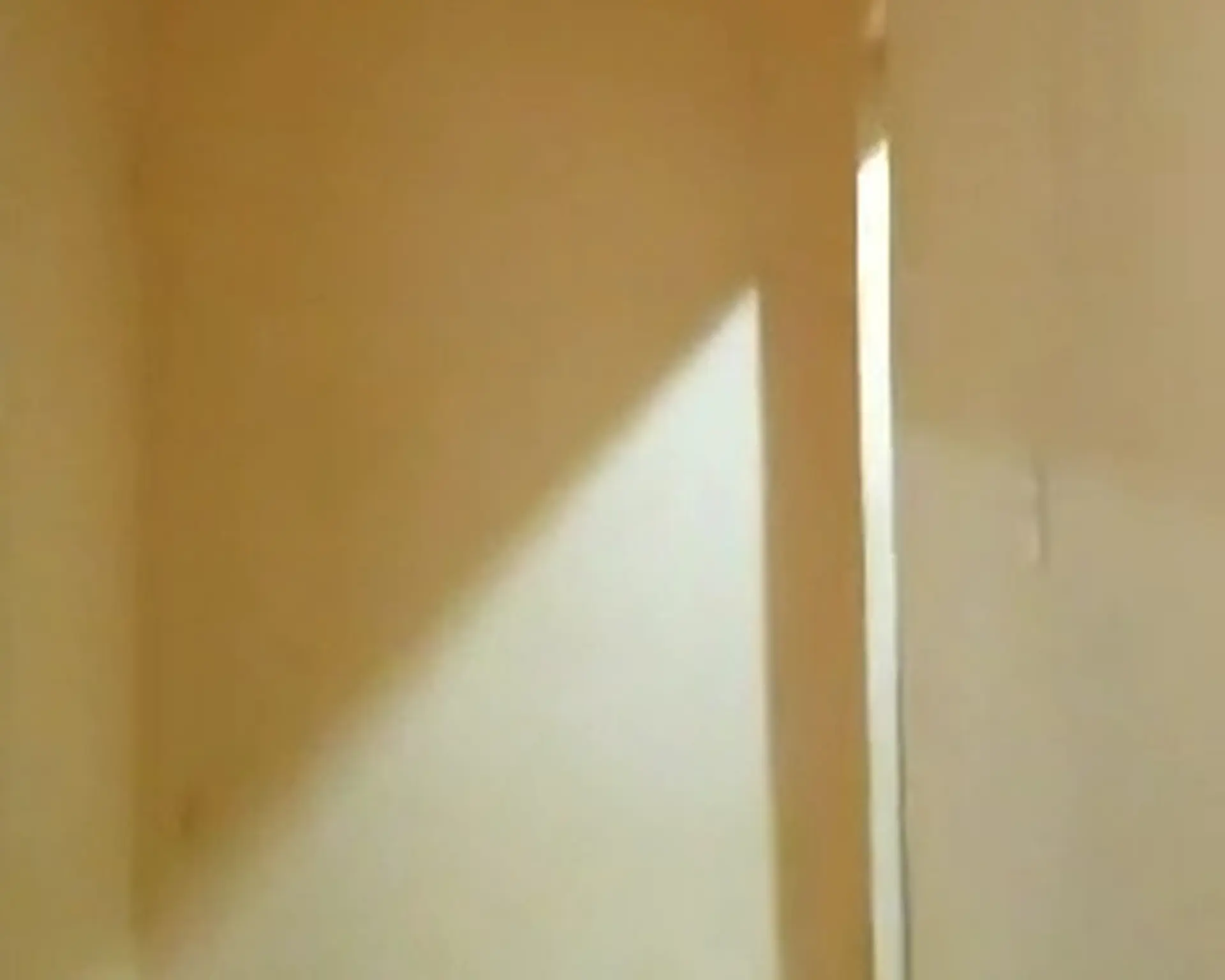 Alphahome Property