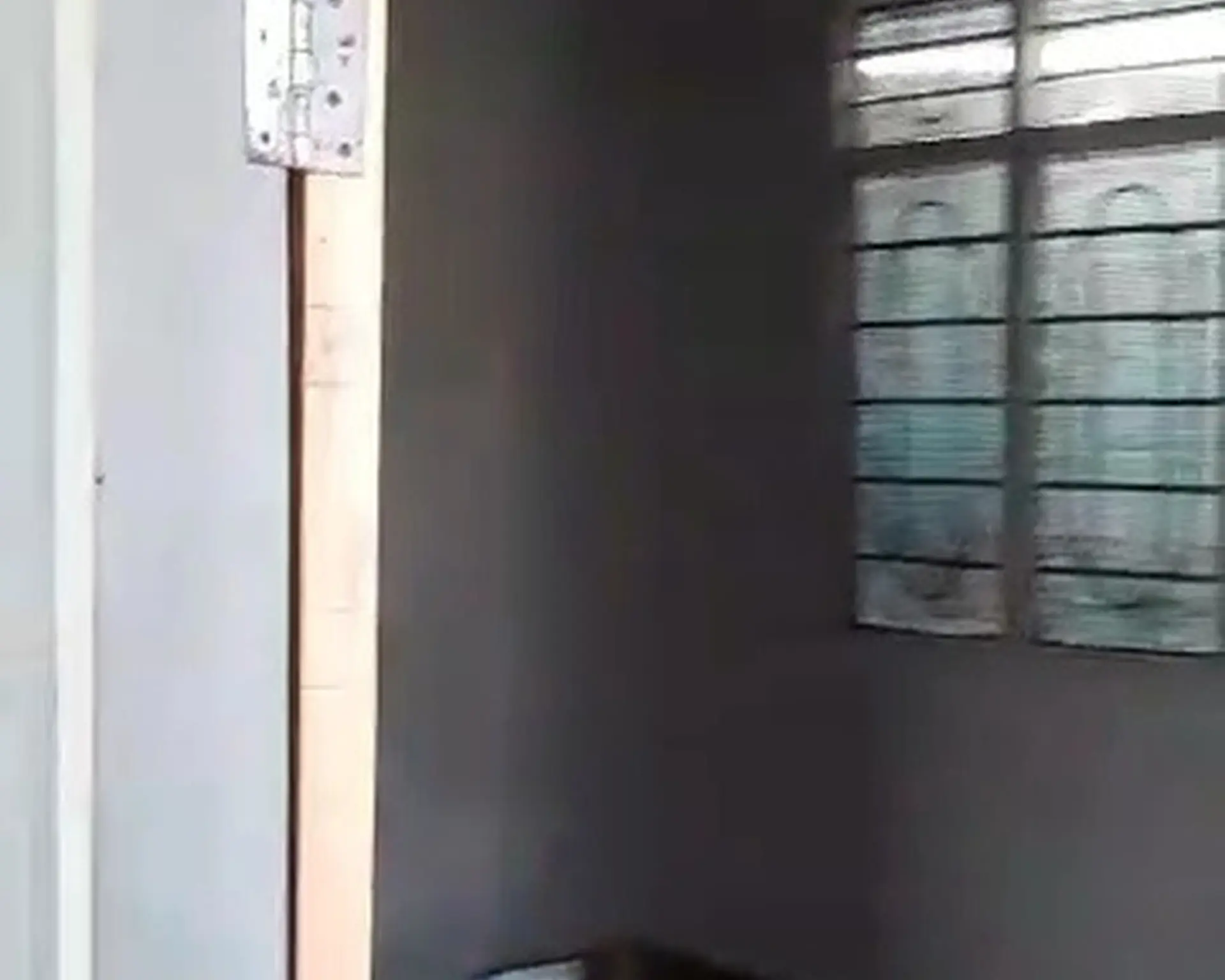Alphahome Property