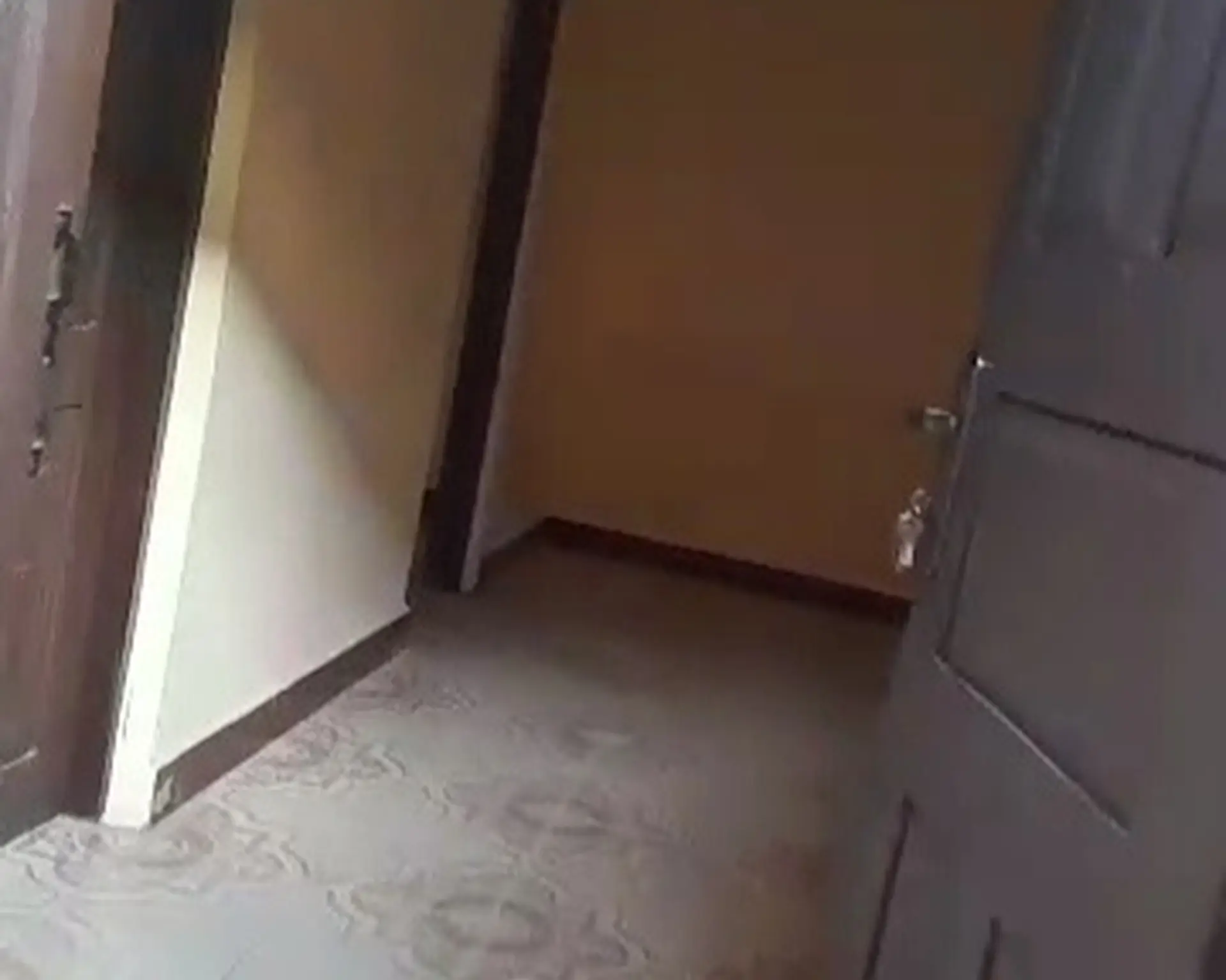 Alphahome Property