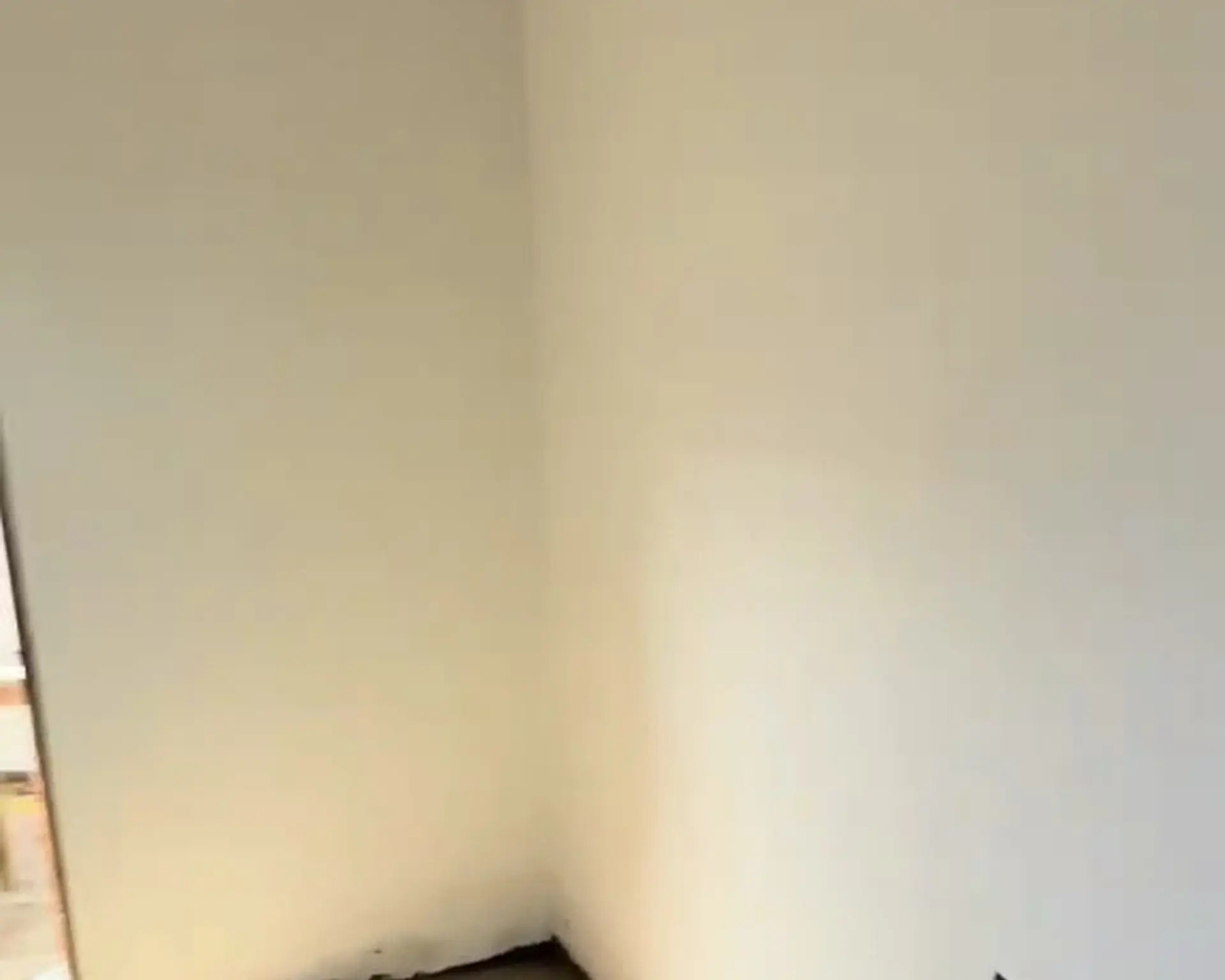 Alphahome Property