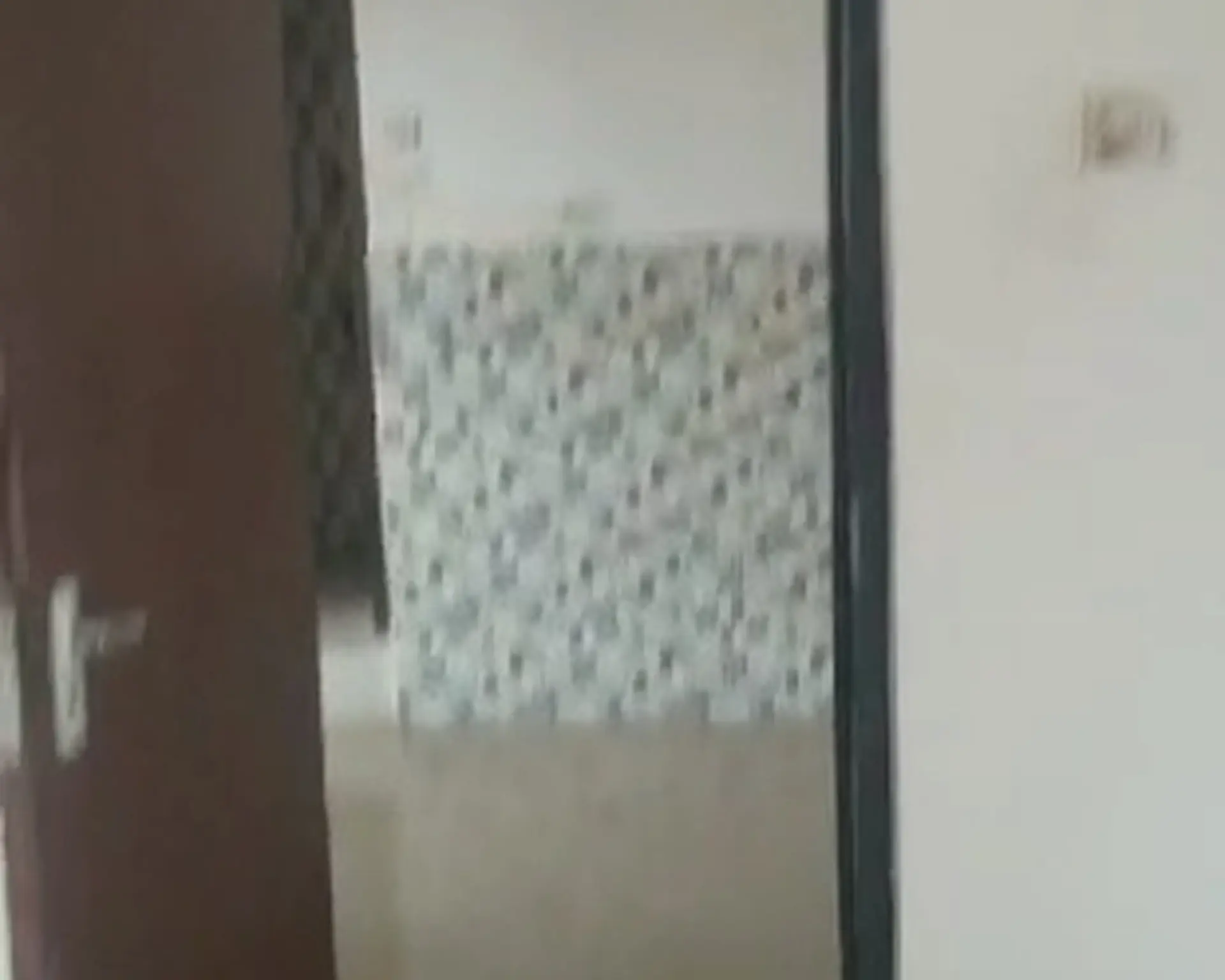 Alphahome Property
