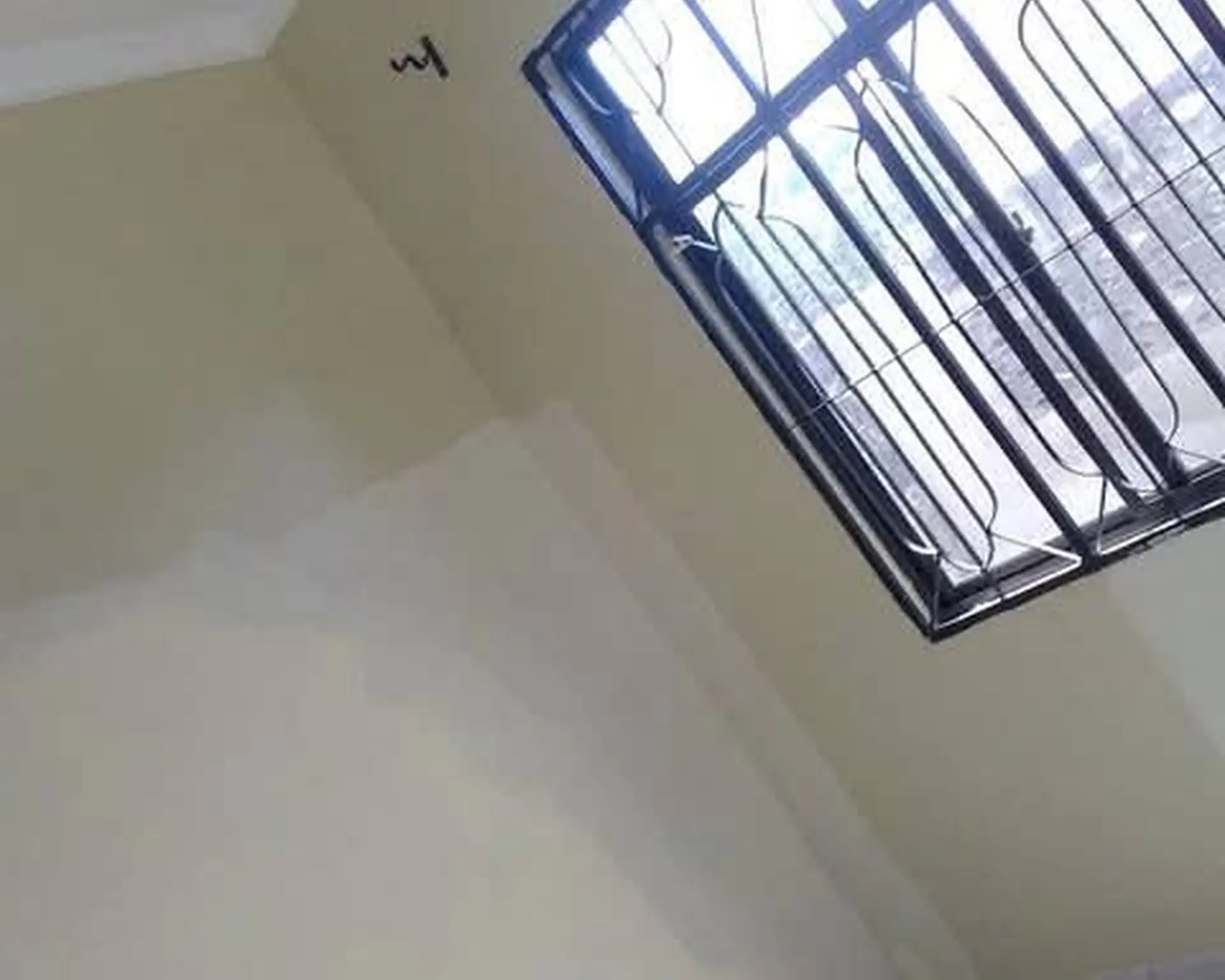 Alphahome Property