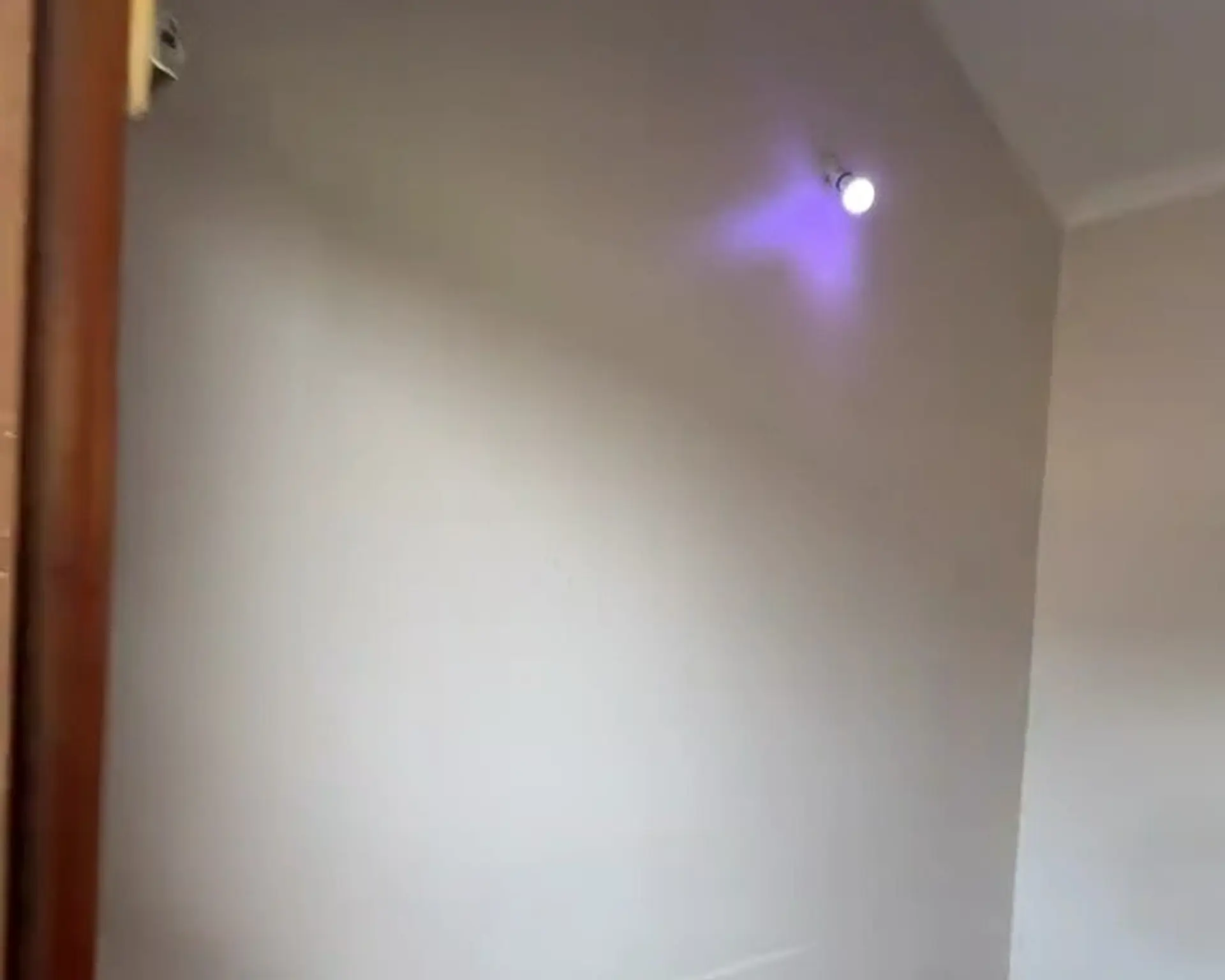 Alphahome Property