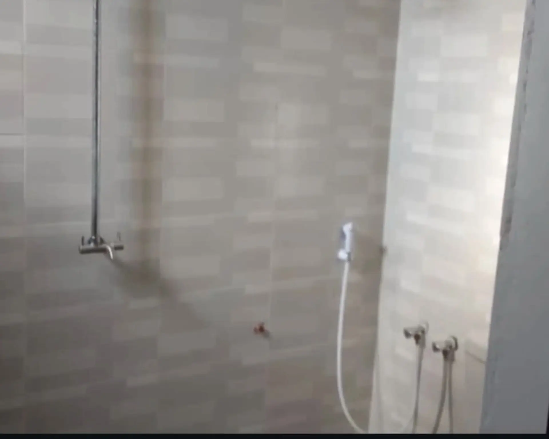 Alphahome Property
