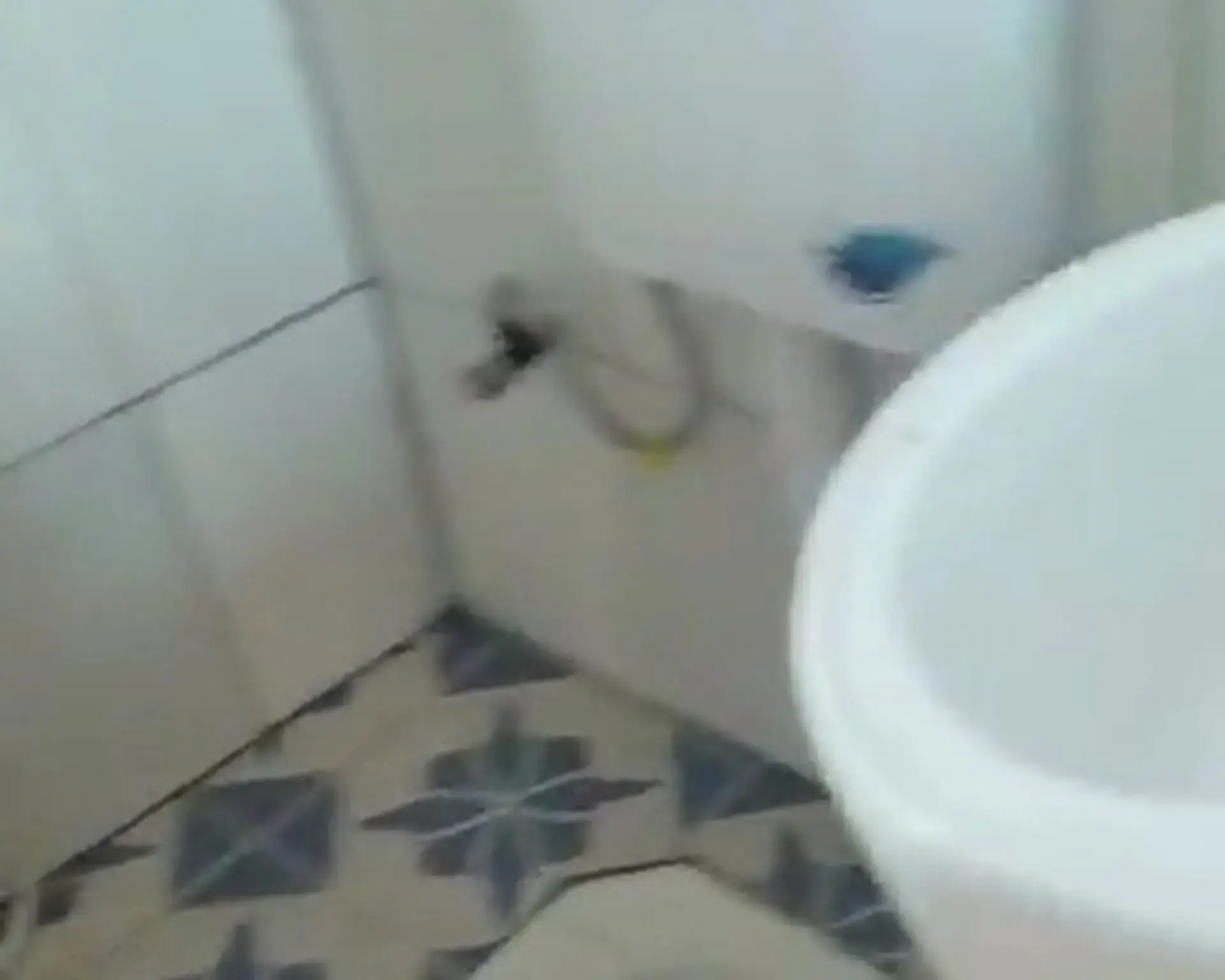 Alphahome Property