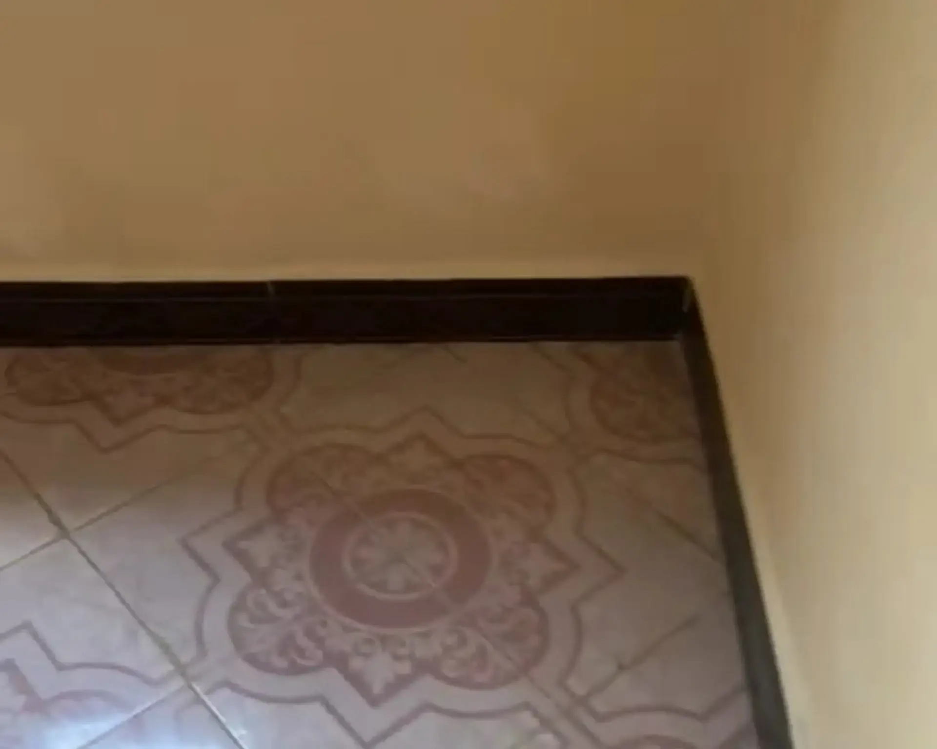 Alphahome Property