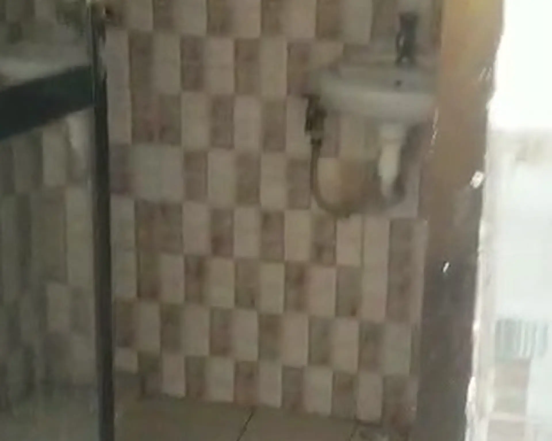Alphahome Property