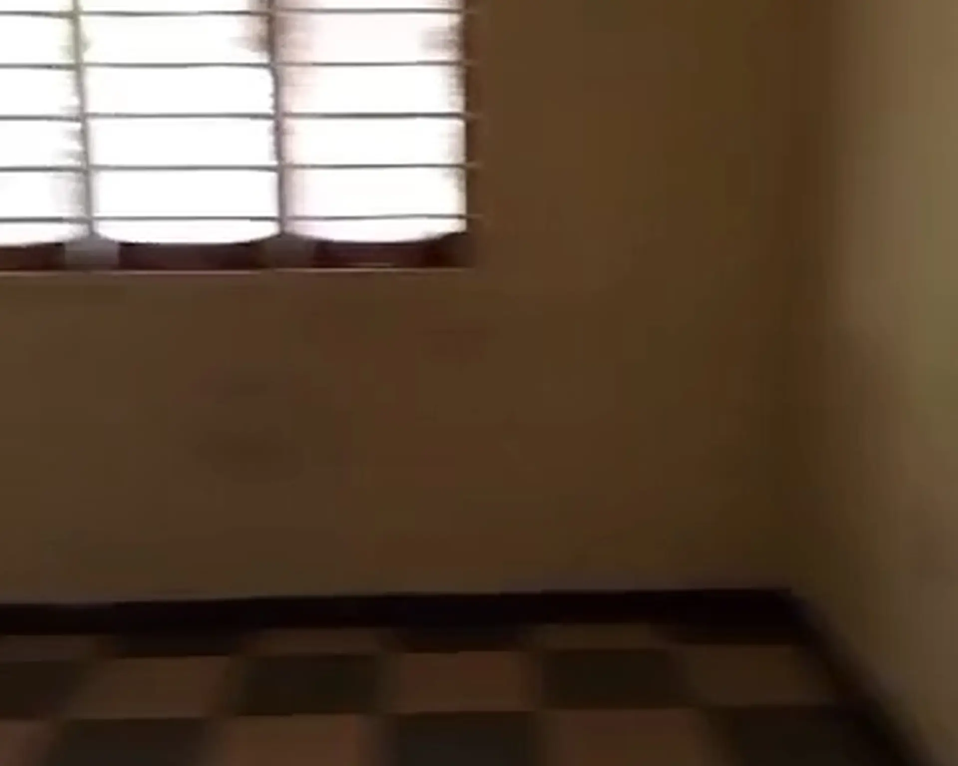 Alphahome Property