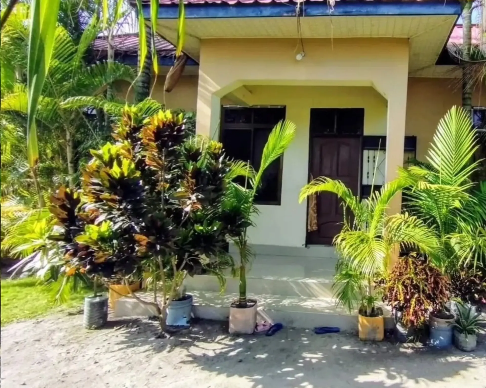 Alphahome Property