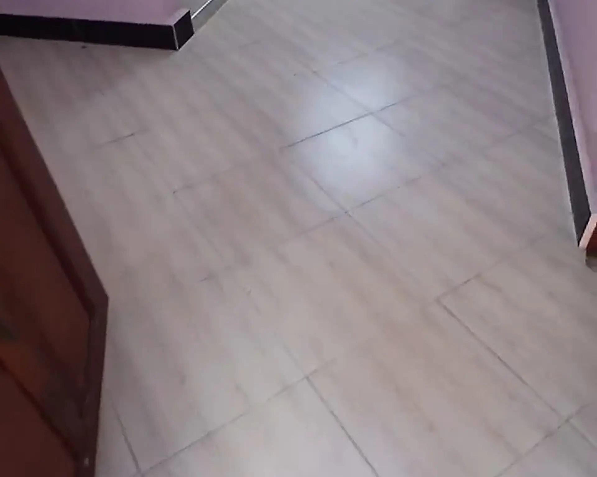 Alphahome Property
