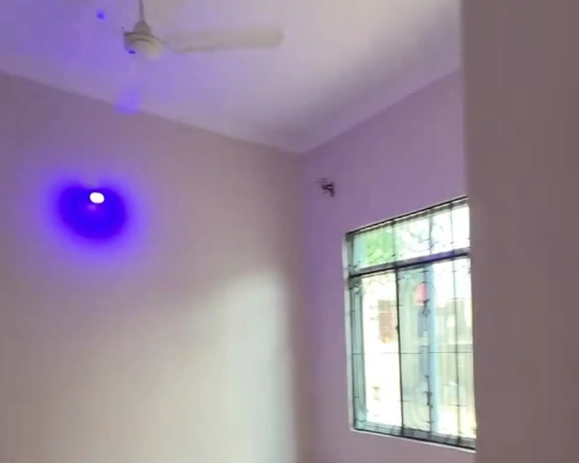 Alphahome Property