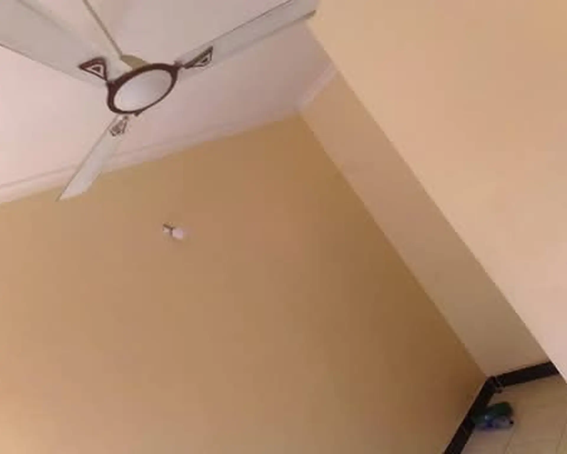 Alphahome Property