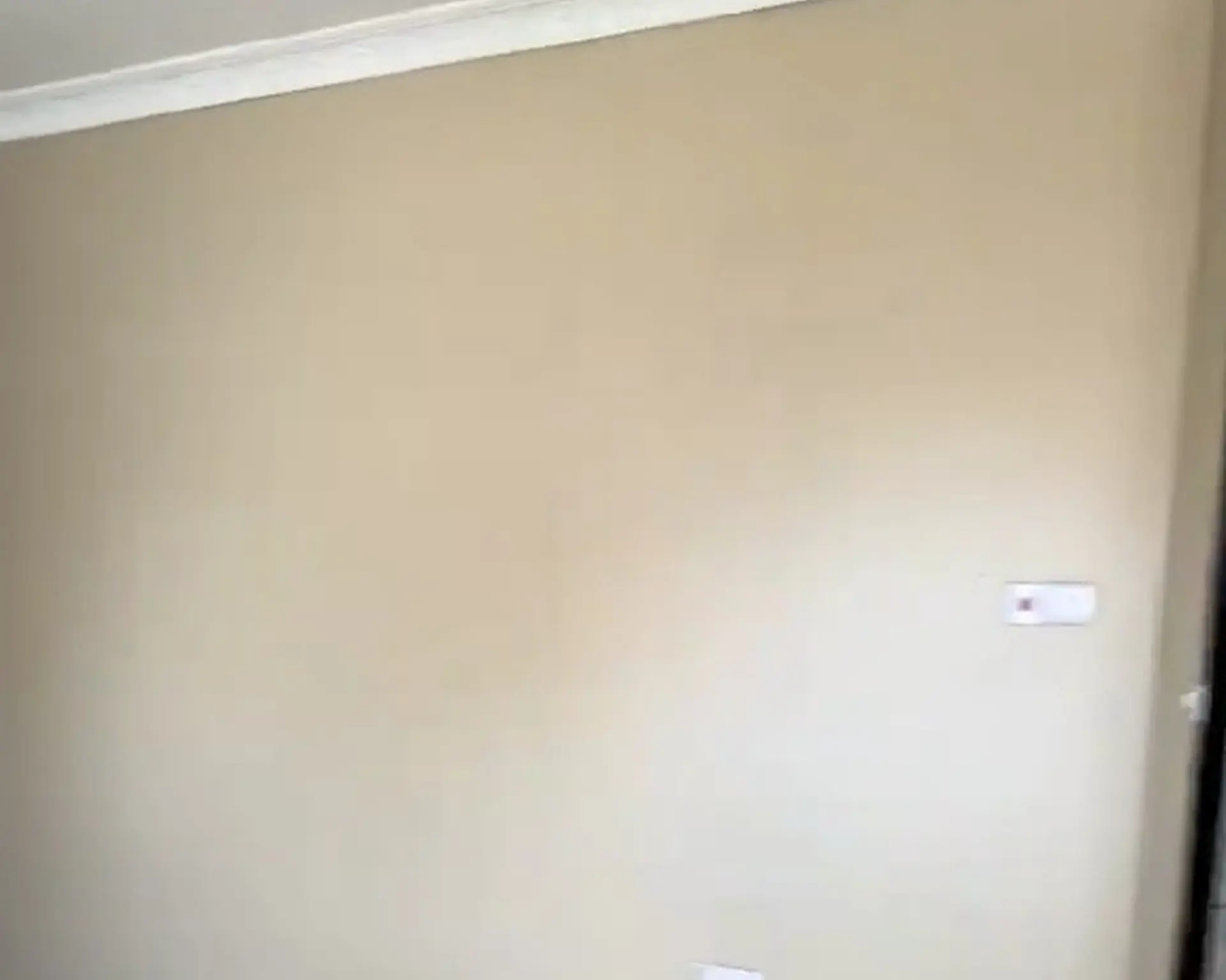 Alphahome Property