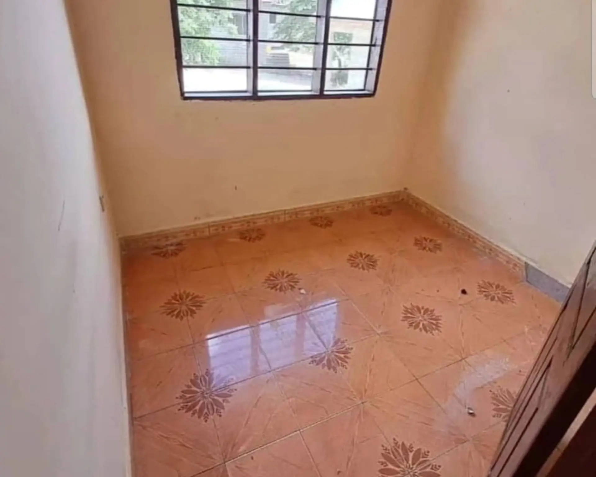 Alphahome Property