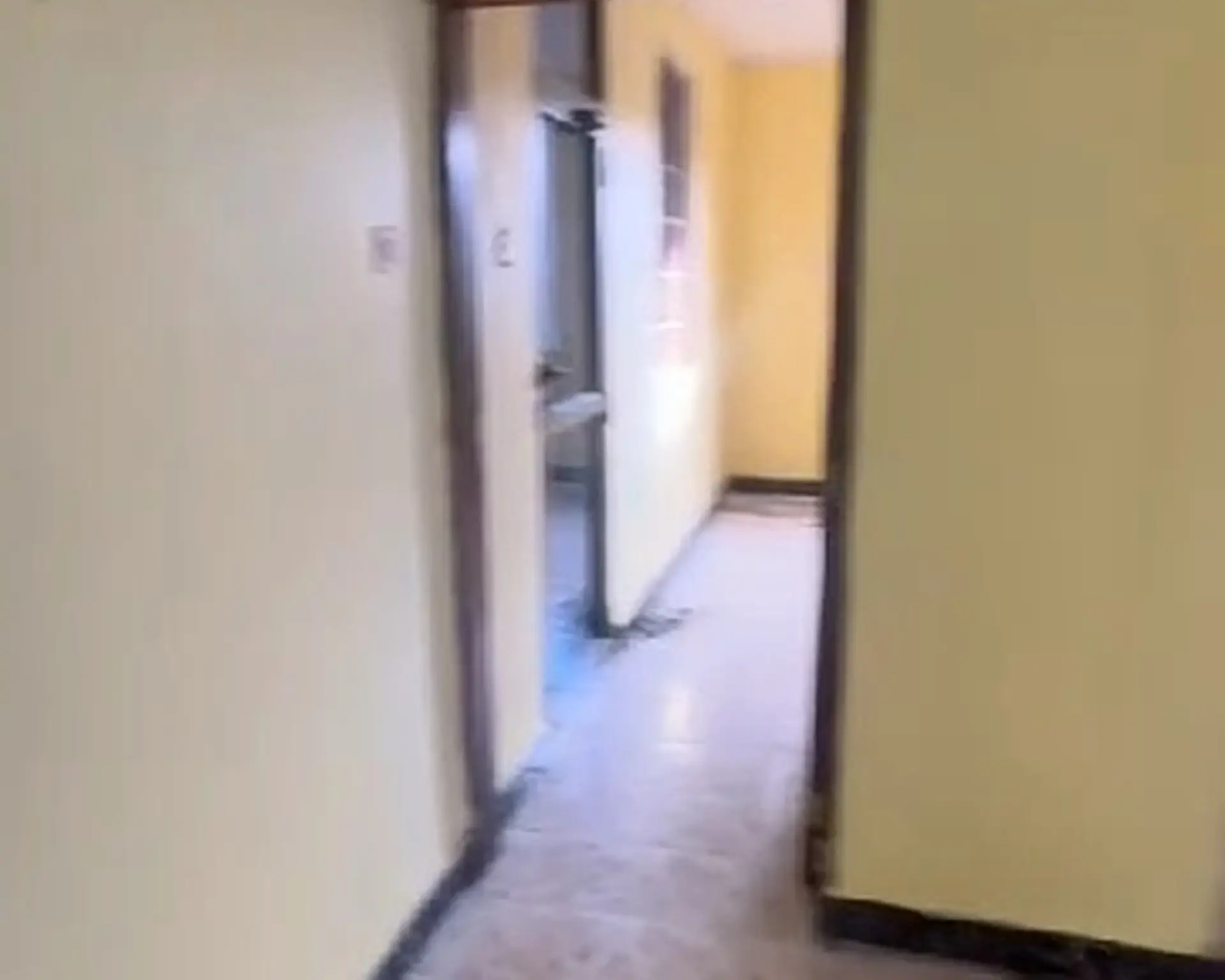 Alphahome Property