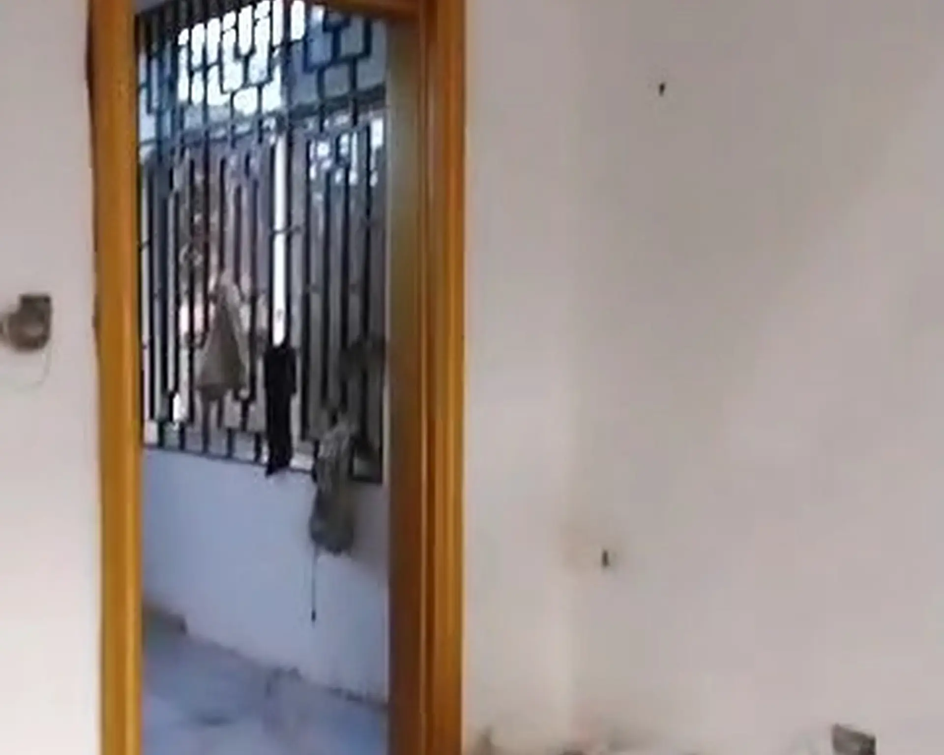 Alphahome Property