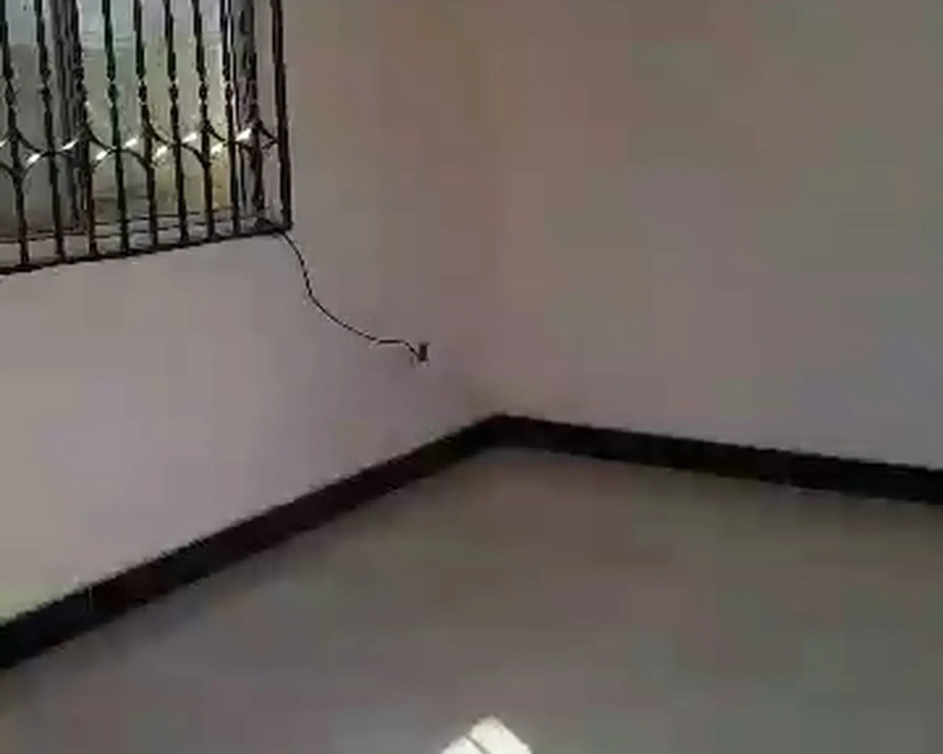 Alphahome Property