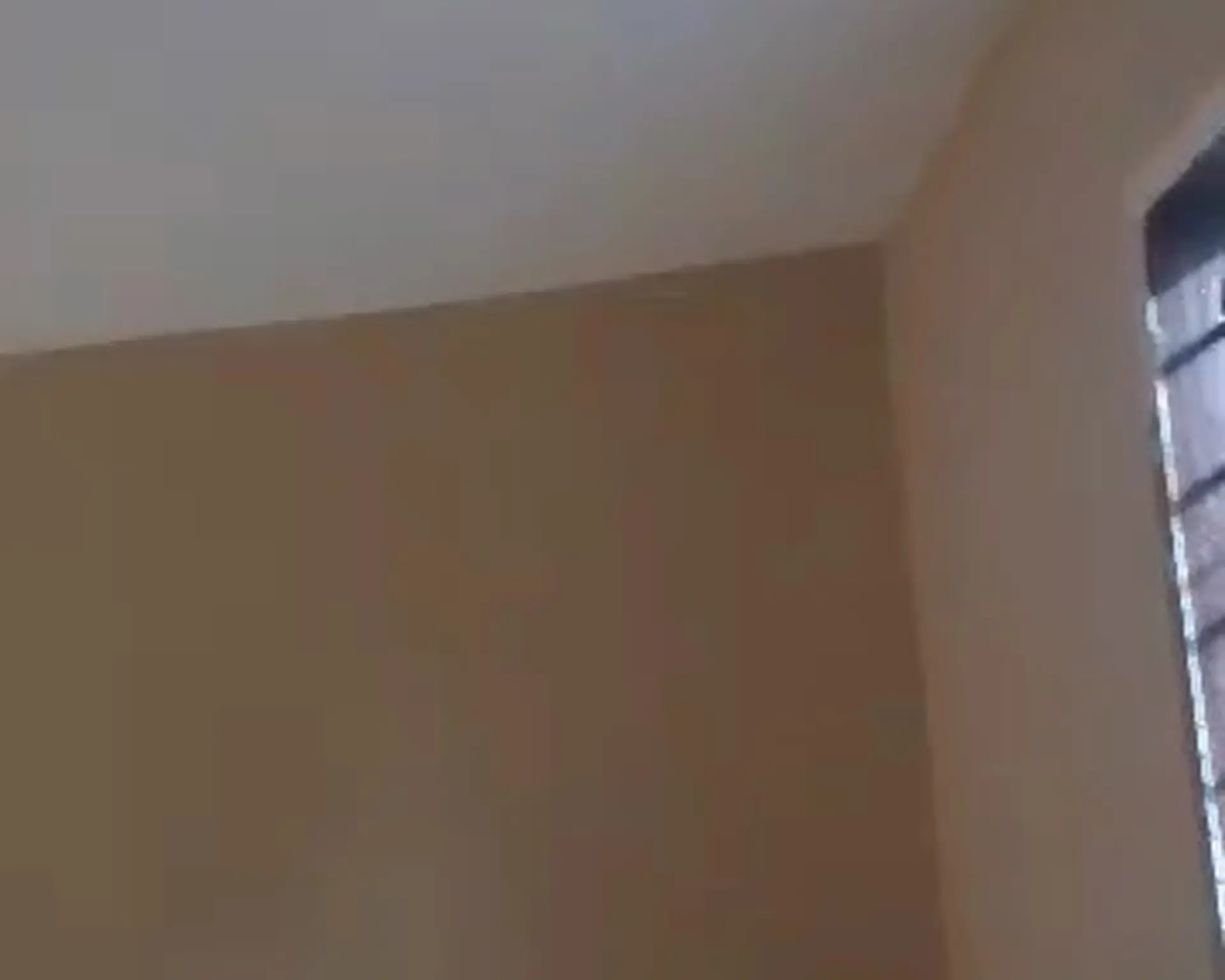 Alphahome Property