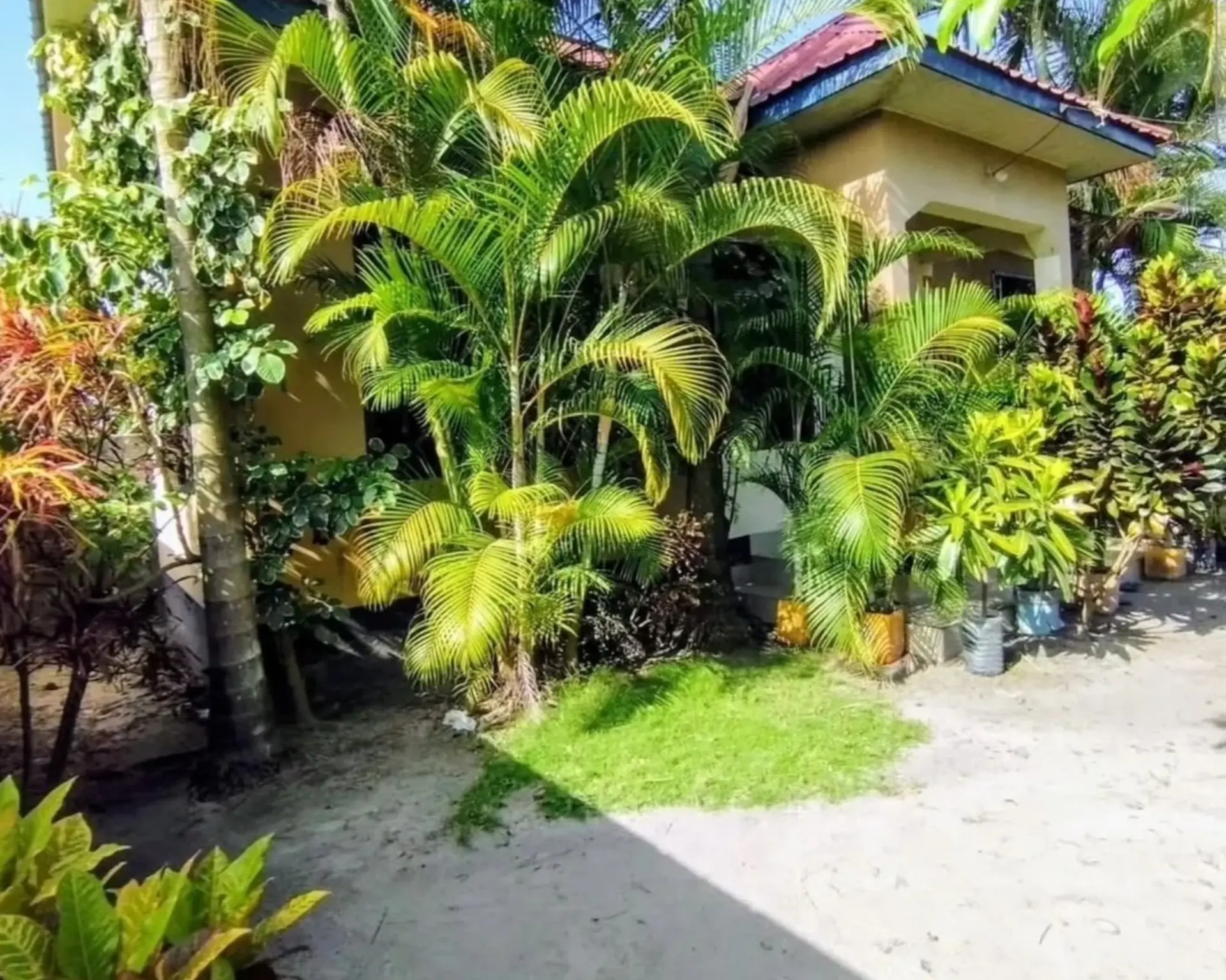 Alphahome Property