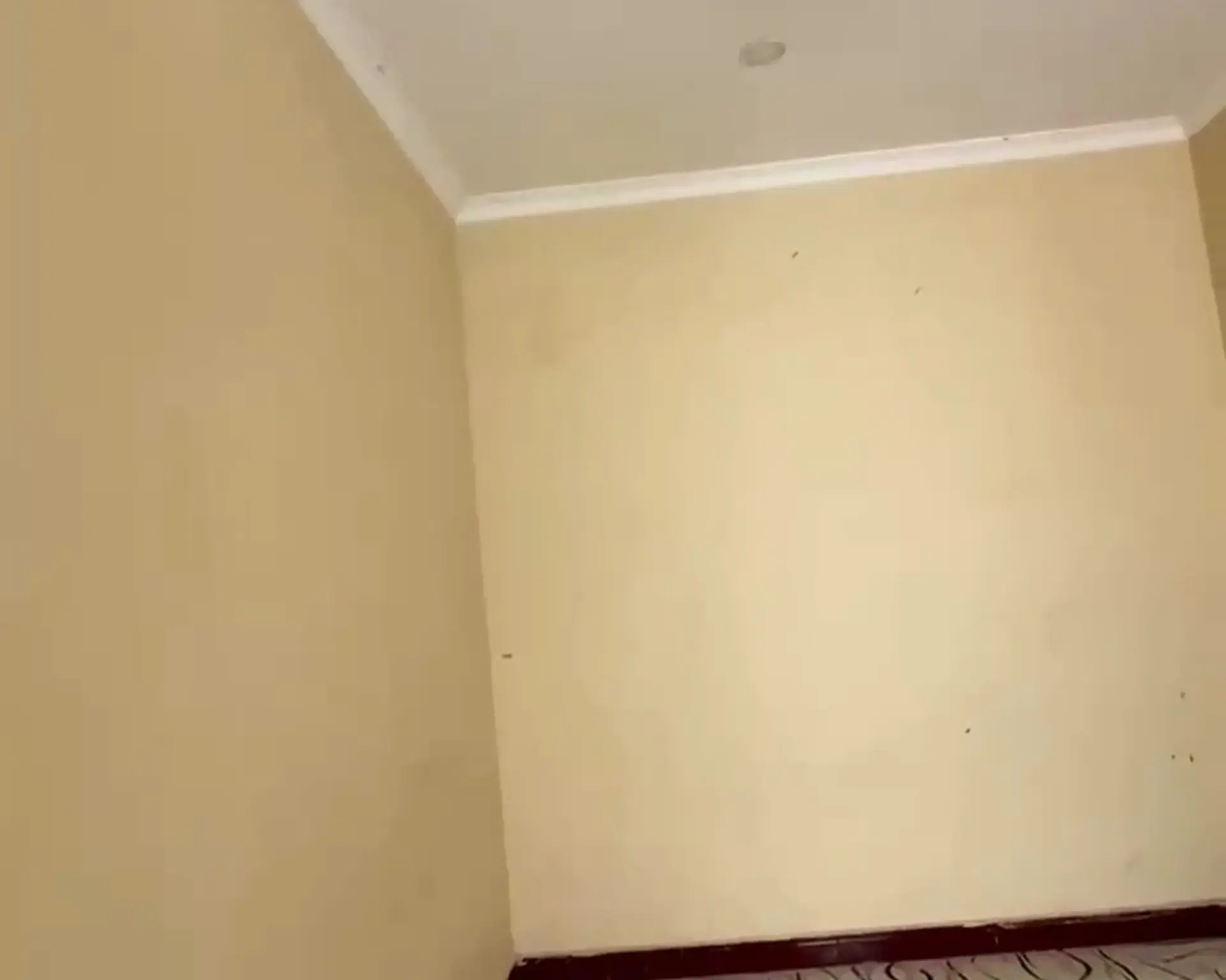 Alphahome Property